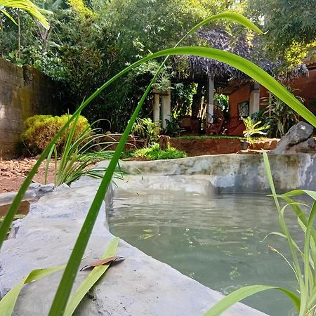 Ancient Gardens Villa Pinnawala  Extérieur photo