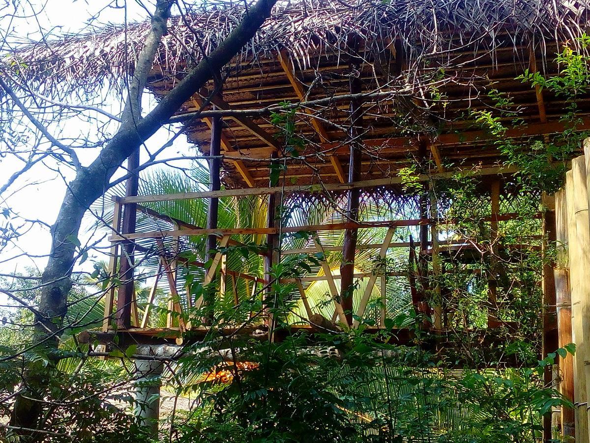 Ancient Gardens Villa Pinnawala  Extérieur photo