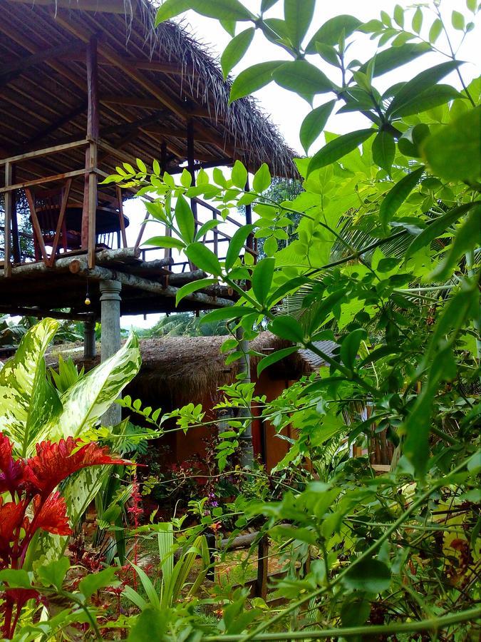 Ancient Gardens Villa Pinnawala  Extérieur photo