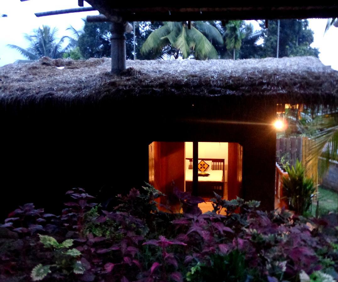 Ancient Gardens Villa Pinnawala  Extérieur photo