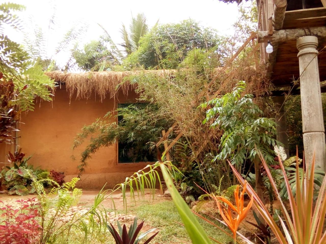 Ancient Gardens Villa Pinnawala  Extérieur photo